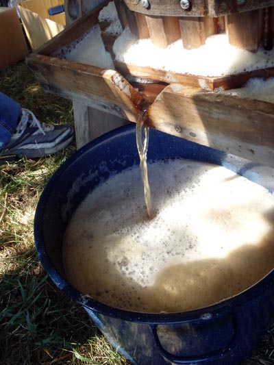 Apple cider flowing from a cider press.