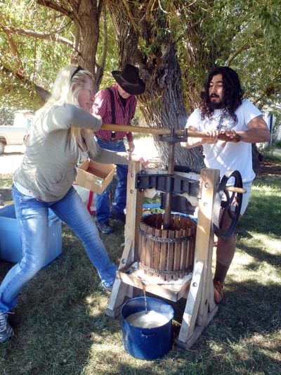 Using an apple cider press.