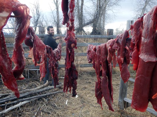 Hanging deer meat to dry for venison jerky.