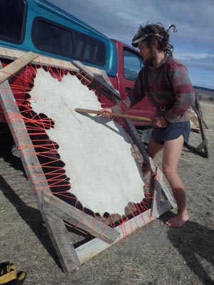Kevin tanning a hide.