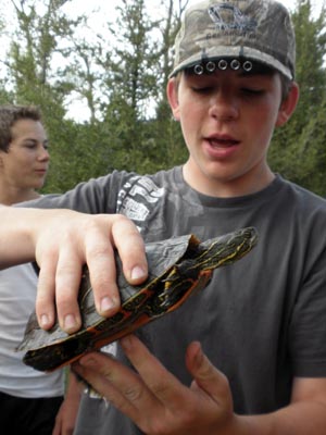 Student holding a painted turtle.