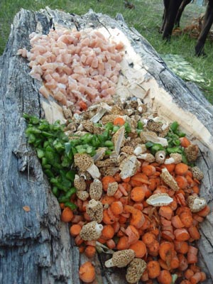 Ingredients for a campfire stir-fry dinner.