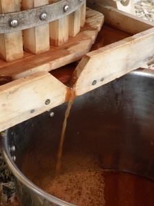 Making apple cider with a cider press.