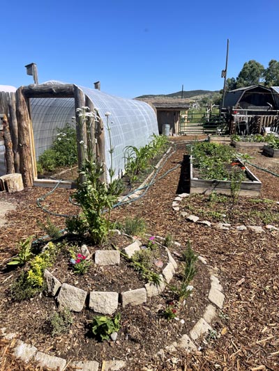 Permaculture garden at River Camp.