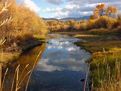 Green University Campus: River Camp Slough